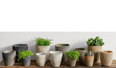 Photo of Campania Farmer's Pot Squared Cylinder - Mixed - Set of 24 - Exclusively Campania